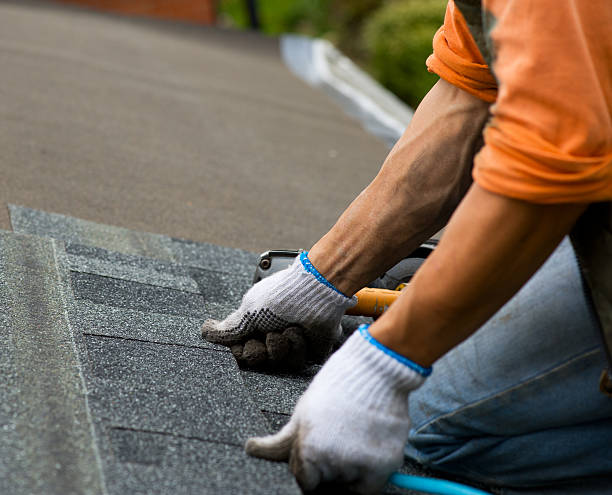 Quick and Trustworthy Emergency Roof Repair Services in Schiller Park, IL