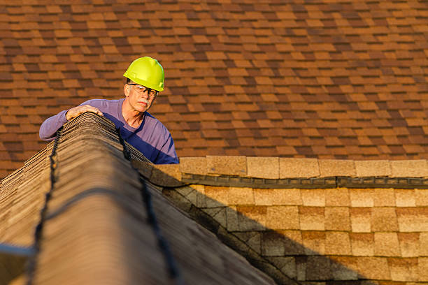 Best Roof Replacement Cost  in Schler Park, IL