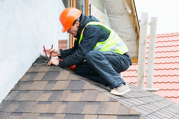 Best Gutter Installation and Roofing  in Schler Park, IL